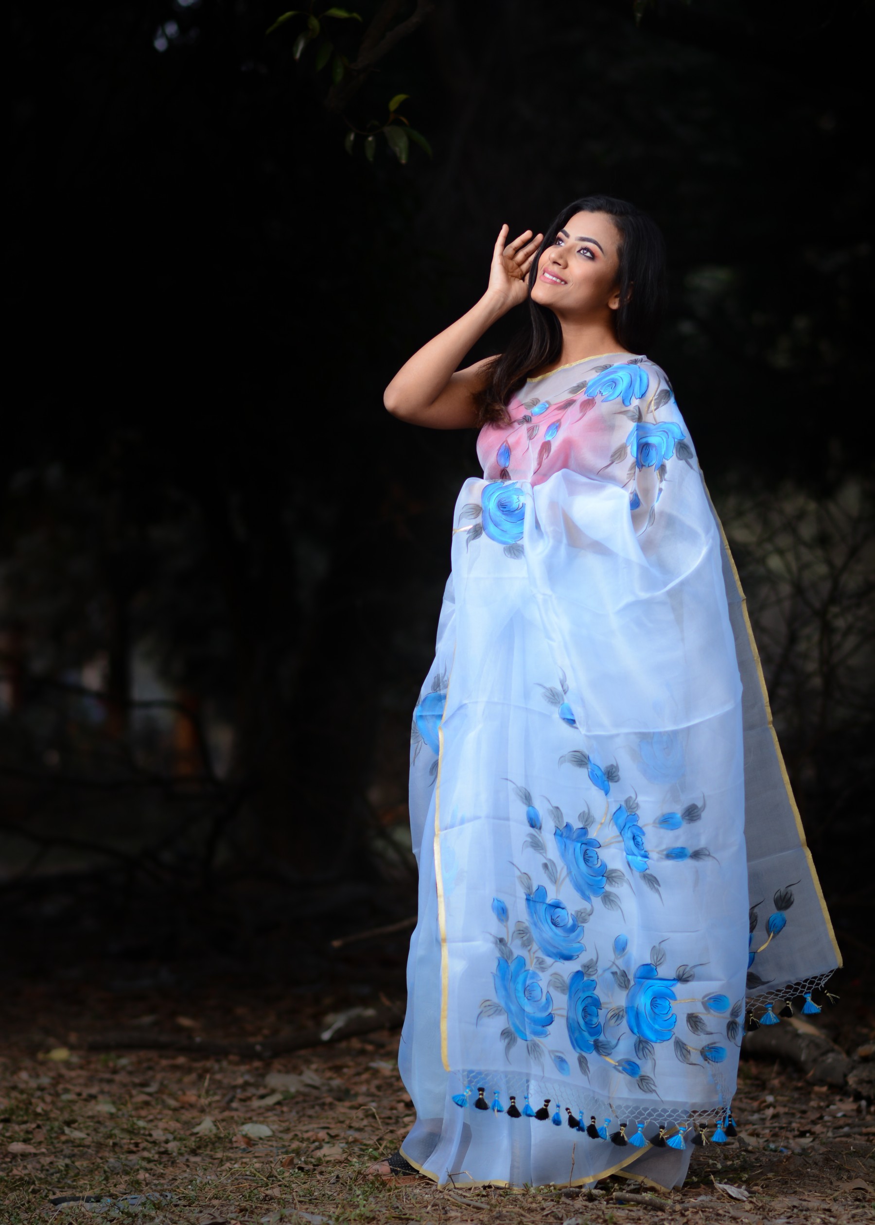 Organza Sarees : Sky blue organza sequence embroidered designer ...