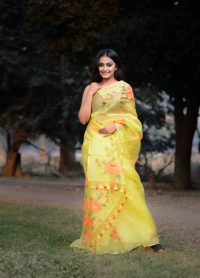 DSC_6203